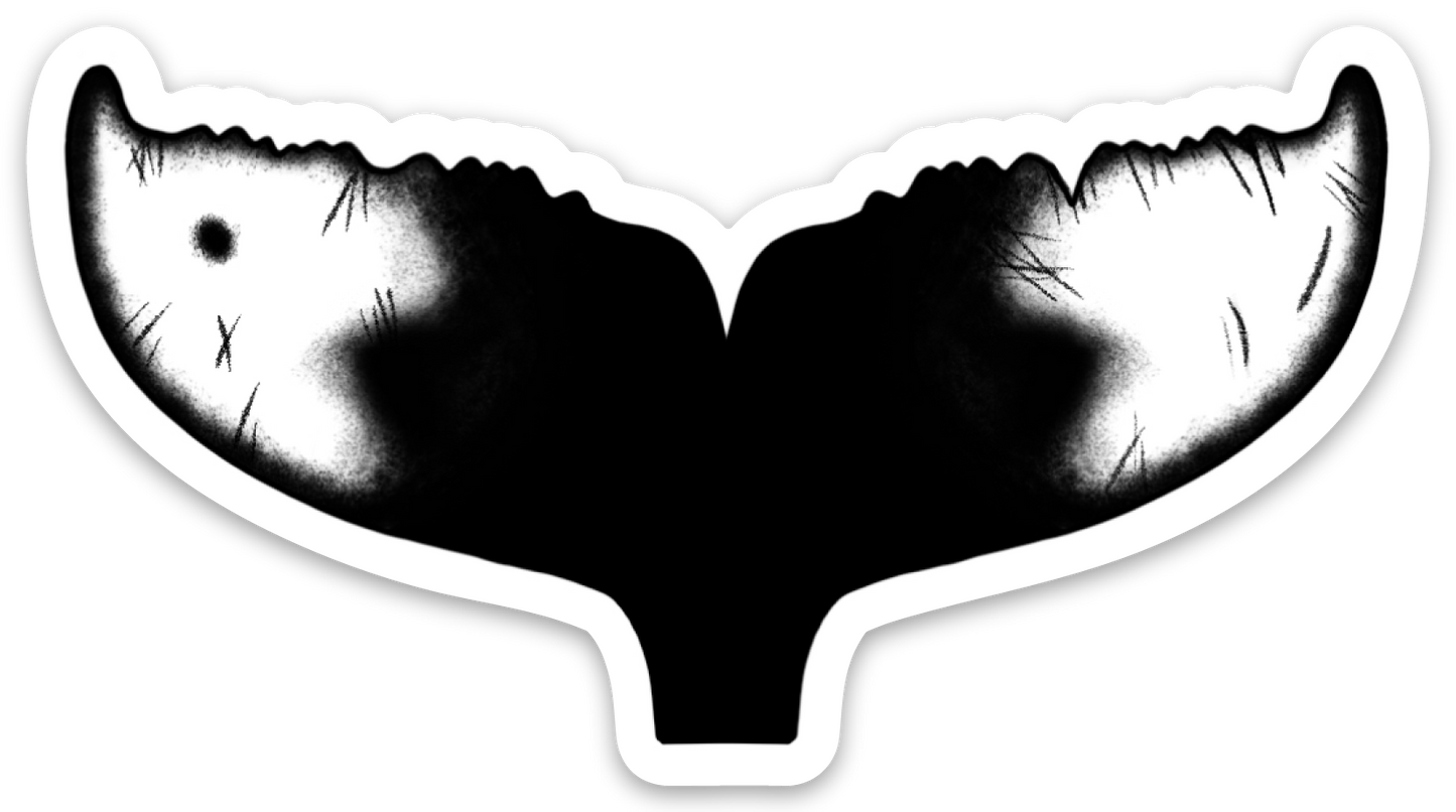 Humpback Whale Fluke Sticker