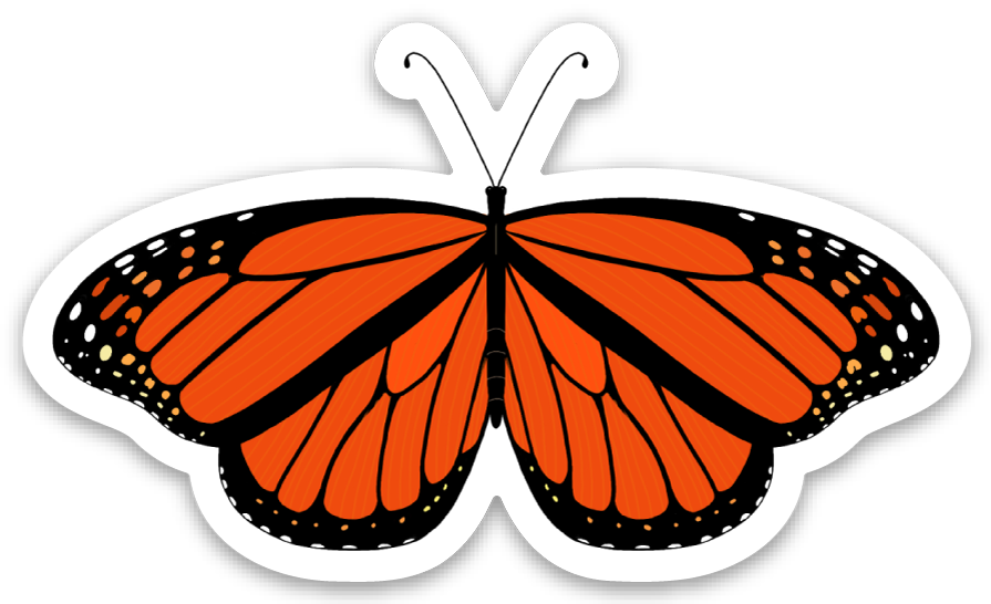 Monarch Butterfly