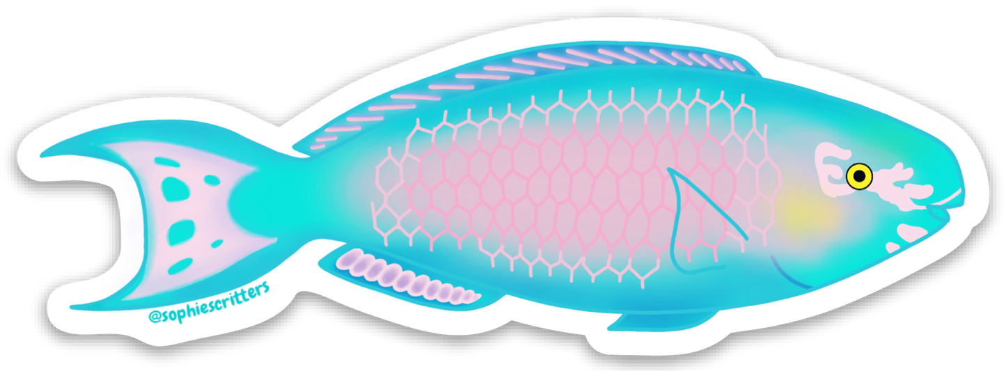 Uhu Rainbow Parrotfish Sticker