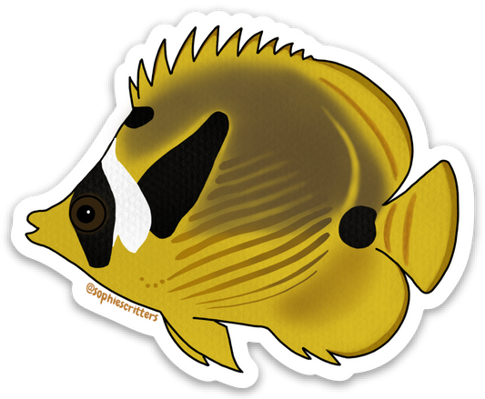 Raccoon Butterflyfish Sticker