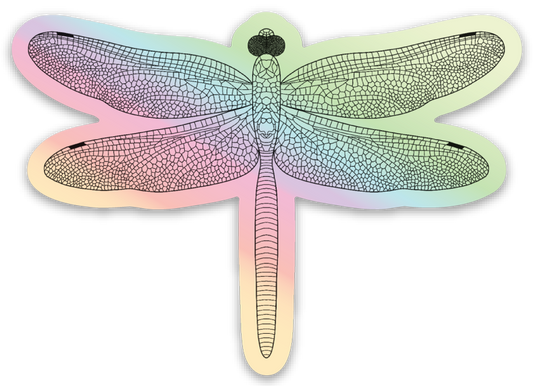 Holographic Dragonfly Stickers