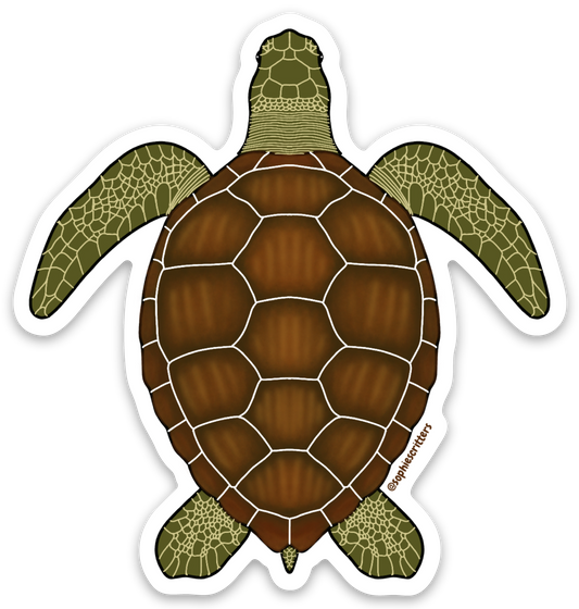 Honu Sea Turtle Sticker