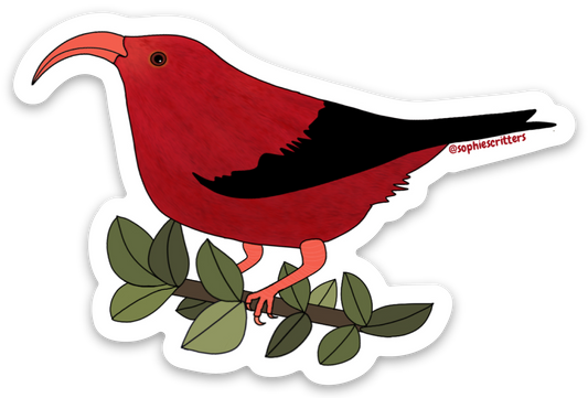 ʻIʻiwi Sticker