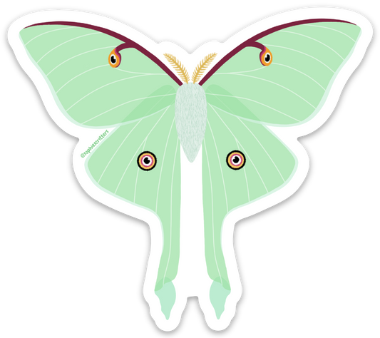 Luna Moth Sticker