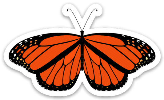 Monarch Butterfly