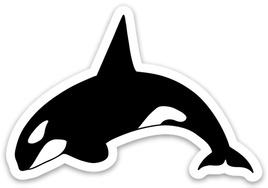 Orca Sticker