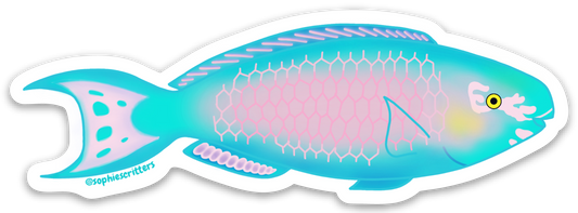 Uhu Rainbow Parrotfish Sticker