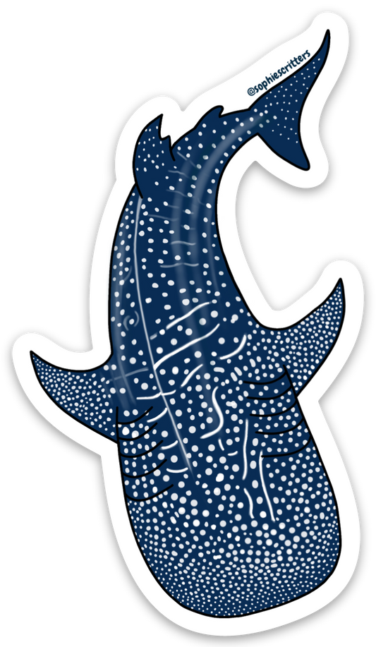 Whale Shark Sticker